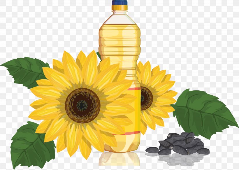 Common Sunflower Sunflower Oil Sunflower Seed, PNG, 4034x2872px, Common Sunflower, Cooking Oil, Cut Flowers, Daisy Family, Flower Download Free
