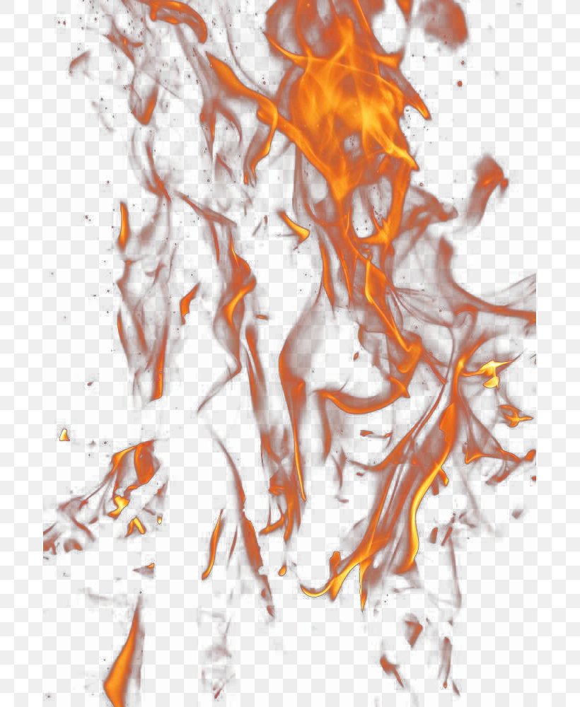 Download Computer File, PNG, 697x1000px, Flame, Branch, Conflagration, Fire, Google Images Download Free