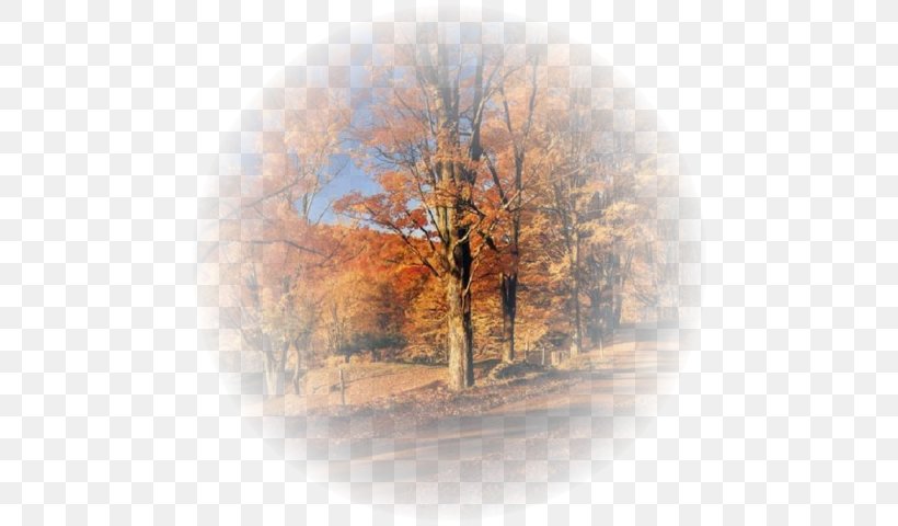 Golden Autumn Desktop Wallpaper TinyPic, PNG, 600x480px, Golden Autumn, Autumn, Blog, Landscape, Landscape Painting Download Free