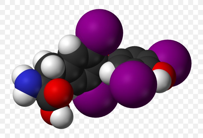 Thyroxine Thyroid Hormones Triiodothyronine, PNG, 800x558px, Thyroxine, Androgen Prohormone, Ball, Blood, Gland Download Free