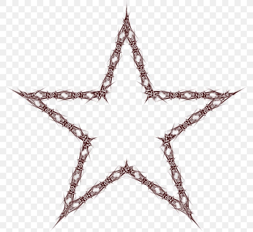 Five-pointed Star, PNG, 786x752px, Star, Branch, Fivepointed Star, Shape, Star Polygons In Art And Culture Download Free