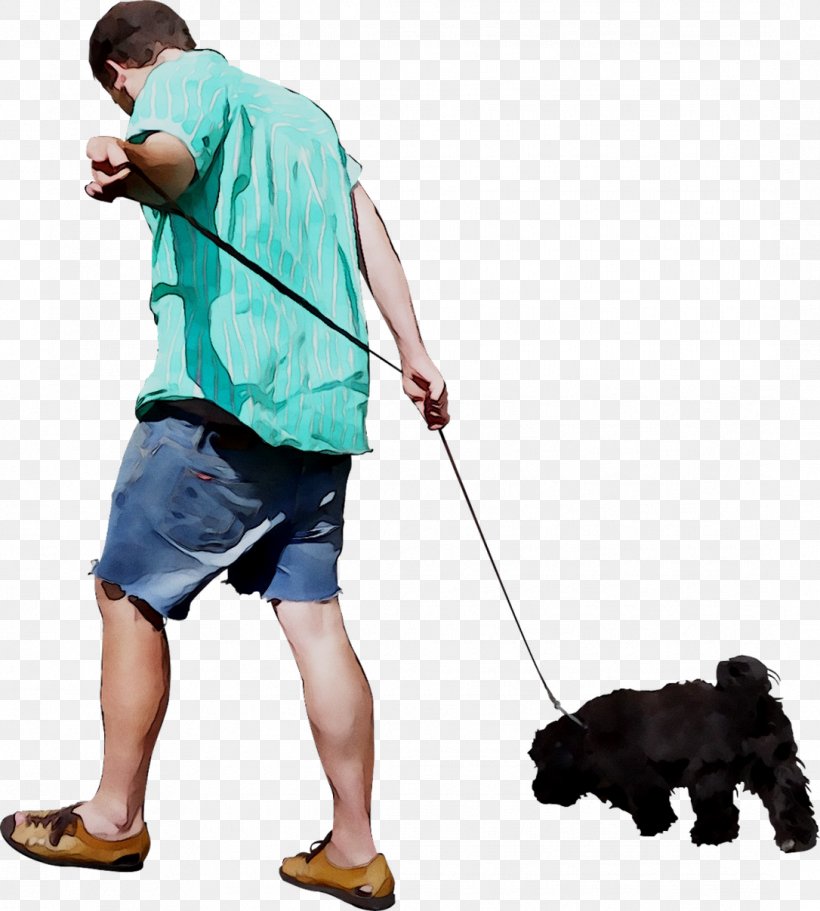 Leash Portuguese Water Dog Ruffwear Roamer Dog Lead Pet, PNG, 1086x1207px, Leash, Canidae, Carnivore, Collar, Dog Download Free