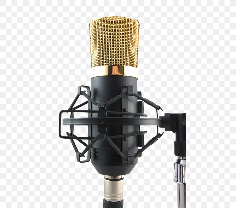 Microphone Stands Recording Studio Sound Recording And Reproduction Hemmastudio, PNG, 475x720px, Watercolor, Cartoon, Flower, Frame, Heart Download Free