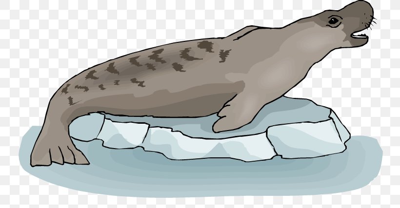 Sea Lion Earless Seal Free Clip Art, PNG, 750x427px, Sea Lion, Bear, Carnivoran, Cartoon, Cat Like Mammal Download Free
