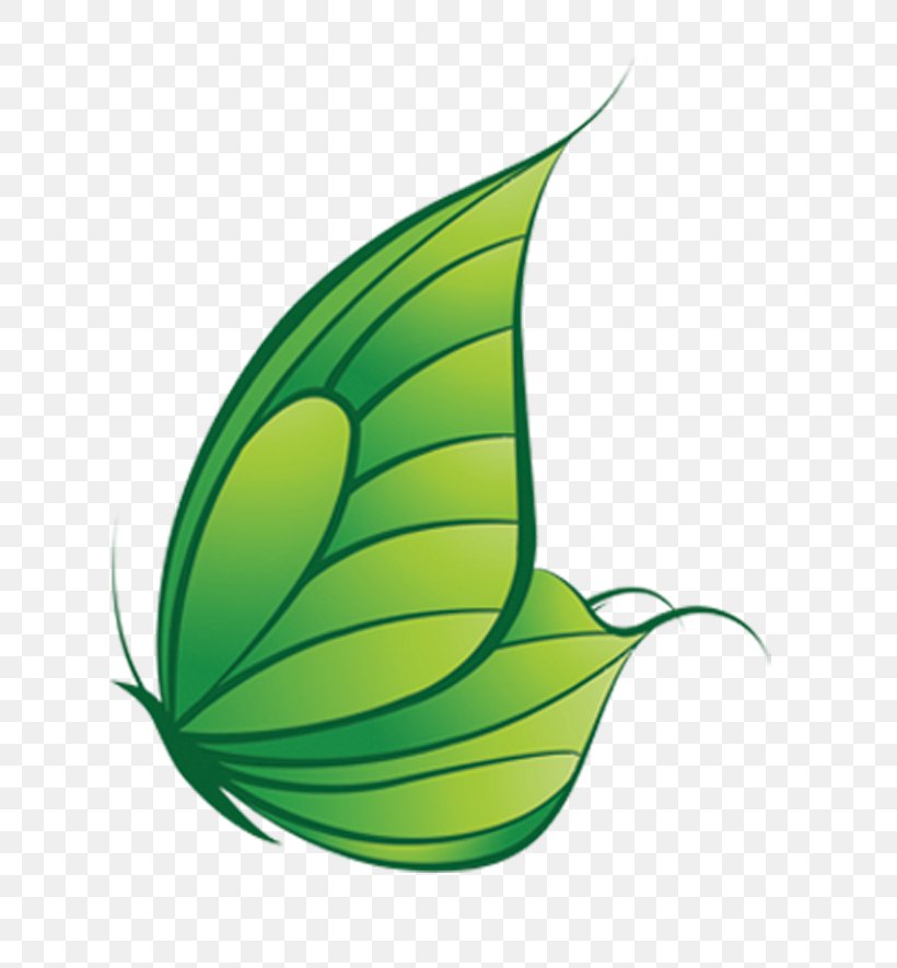 Butterfly Green Leaf, PNG, 802x885px, Butterfly, Butterflies And Moths, Flower, Grass, Green Download Free