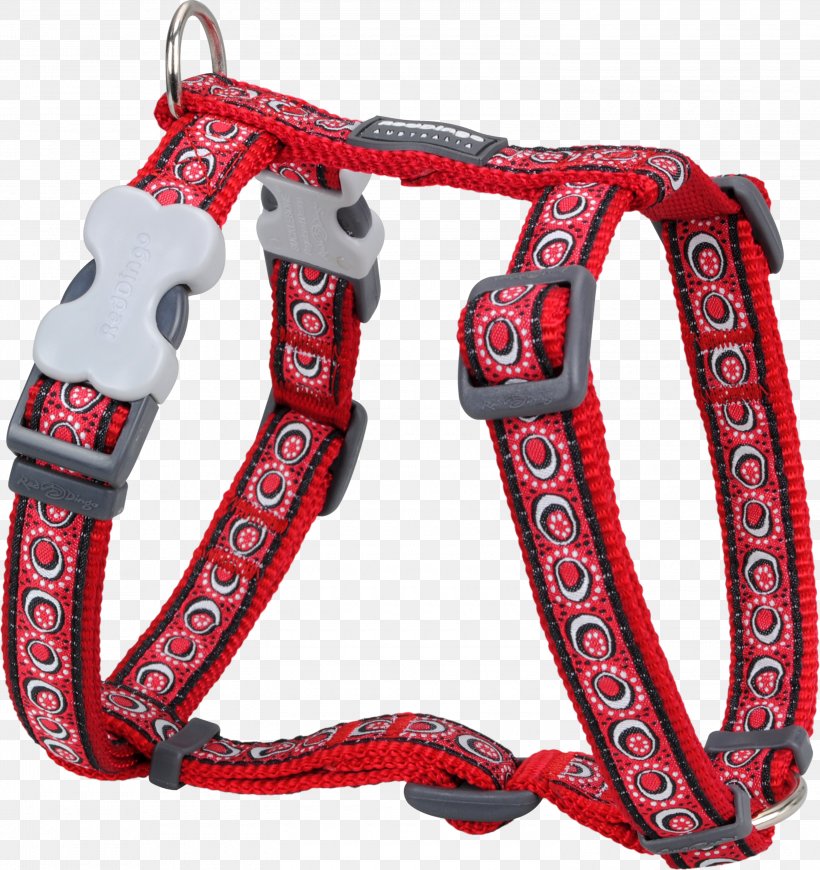 Dingo Dog Harness Puppy Dog Collar, PNG, 3000x3183px, Dingo, Cat, Designerhunder, Dog, Dog Collar Download Free