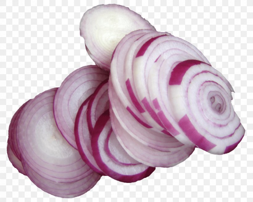 French Onion Soup Yellow Onion Shallot Callus, PNG, 850x678px, French Onion Soup, Callus, Corn, Food, Ingredient Download Free