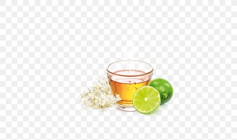 Lime Lemon Juice Meßmer Citric Acid, PNG, 600x484px, Lime, Acid, Citric Acid, Citrus, Diet Download Free