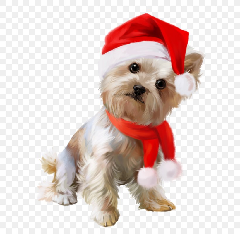 New Year Dog 0 Holiday Clip Art, PNG, 619x800px, 2017, 2018, New Year, Carnivoran, Christmas Download Free