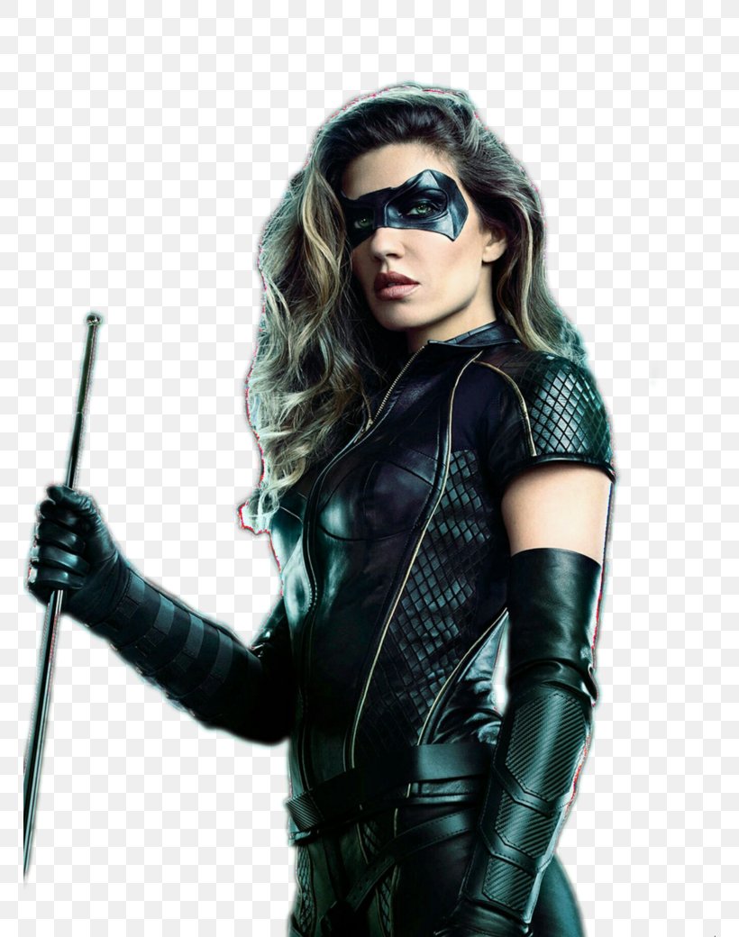 Black Canary Green Arrow Juliana Harkavy Sara Lance, PNG, 768x1040px, Watercolor, Cartoon, Flower, Frame, Heart Download Free