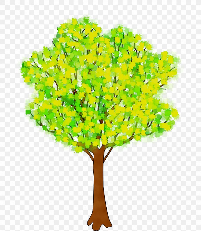 Plant Stem Branching Plants, PNG, 2477x2855px, Plant Stem, Branch, Branching, Flower, Grass Download Free