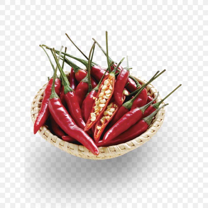 Birds Eye Chili Chile De Xe1rbol Tabasco Pepper Cayenne Pepper, PNG, 827x827px, Birds Eye Chili, Bell Peppers And Chili Peppers, Black Pepper, Capsicum Annuum, Cayenne Pepper Download Free