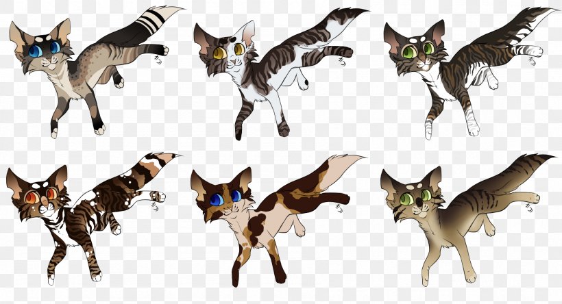 Cat Dog Canidae Fauna Tail, PNG, 1793x972px, Cat, Animal, Animal Figure, Canidae, Carnivoran Download Free