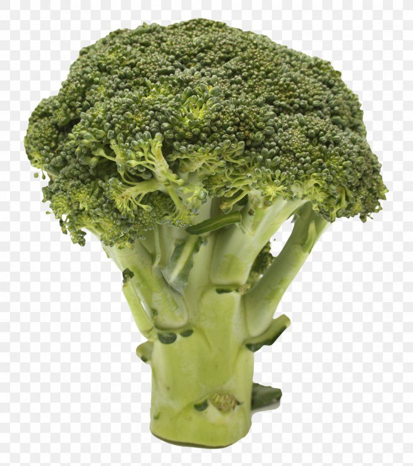Clip Art Broccoli Transparency Vegetable Image, PNG, 1157x1307px, Broccoli, Broccoflower, Cabbage, Cauliflower, Celery Download Free