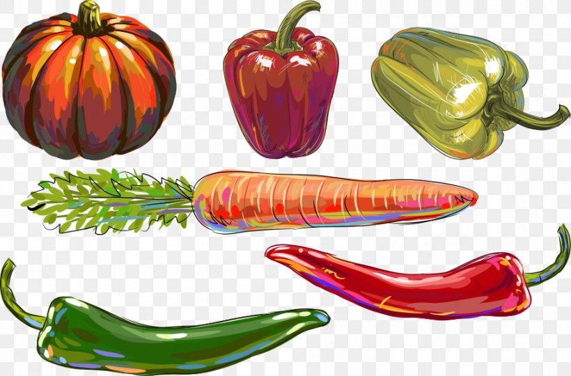 Bell Pepper Chili Pepper Vegetable Illustration, PNG, 911x601px, Bell Pepper, Animation, Bell Peppers And Chili Peppers, Capsicum, Capsicum Annuum Download Free