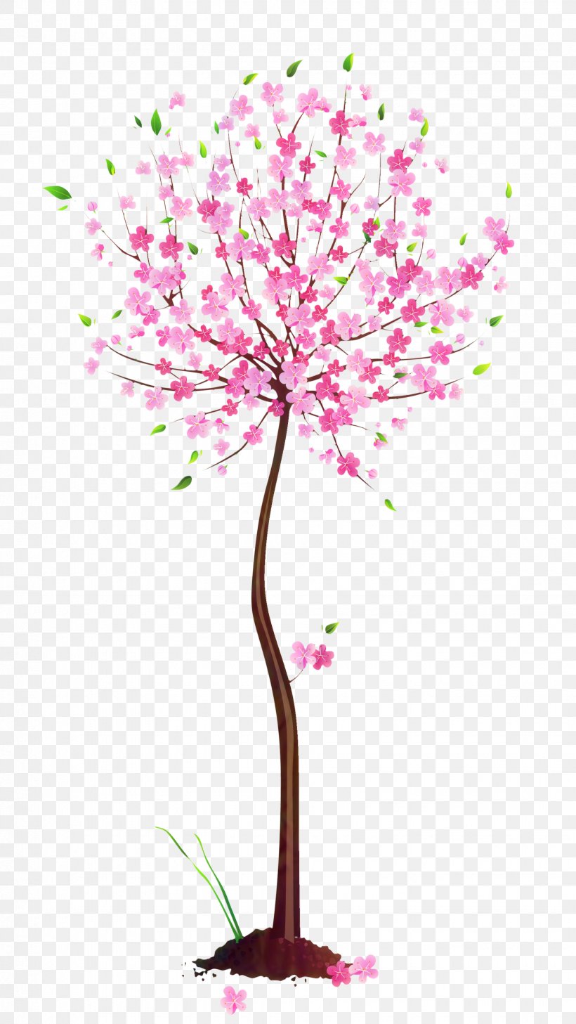 Cherry Blossom Cut Flowers Floral Design ST.AU.150 MIN.V.UNC.NR AD, PNG, 1850x3289px, Cherry Blossom, Blossom, Botany, Branch, Cherries Download Free