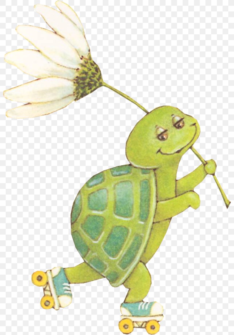 Tortoise Sea Turtle Clip Art, PNG, 800x1171px, Tortoise, Animal, Cartoon, Email, Fauna Download Free