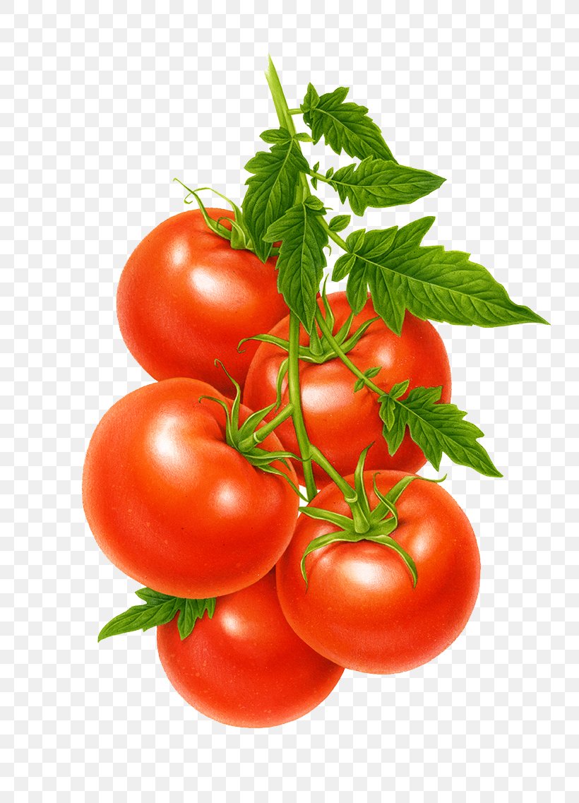 Juice Cherry Tomato Vegetable Fruit Fried Green Tomatoes, PNG, 800x1137px, Juice, Bush Tomato, Cherry Tomato, Diet Food, Food Download Free