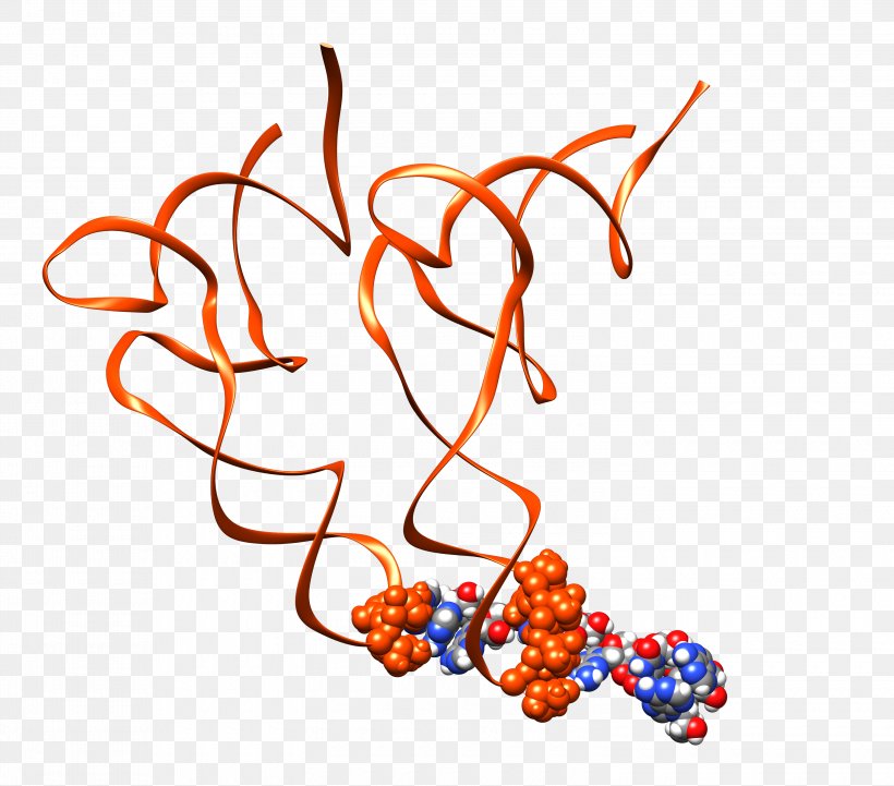 Ribosome Transfer RNA Cell Ribosomal RNA Protein, PNG, 3000x2640px, Ribosome, Area, Art, Biology, Body Jewelry Download Free