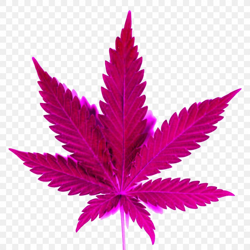 Cannabis Shop Kush Leaf Drawing, PNG, 1024x1024px, 420 Day, Cannabis, Cannabis Sativa, Cannabis Shop, Cannabis Smoking Download Free