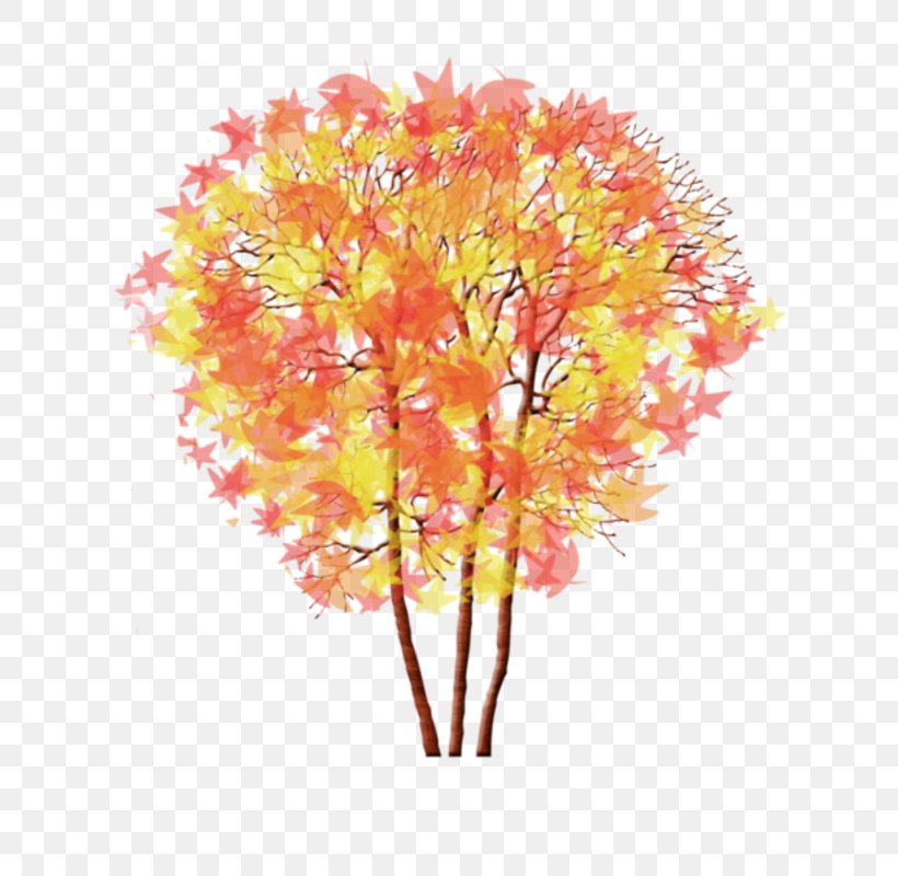 Clip Art Centerblog Tree Maple, PNG, 800x800px, Centerblog, Autumn, Blog, Cut Flowers, Drawing Download Free