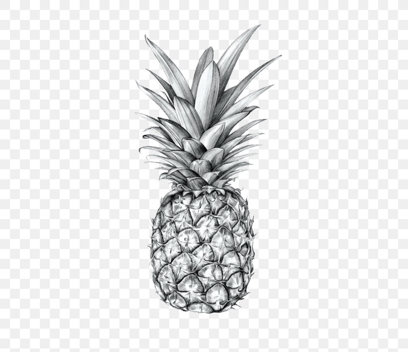 Drawing Pineapple Printmaking Sketch, PNG, 500x707px, Drawing, Ananas, Art, Black And White, Bromeliaceae Download Free