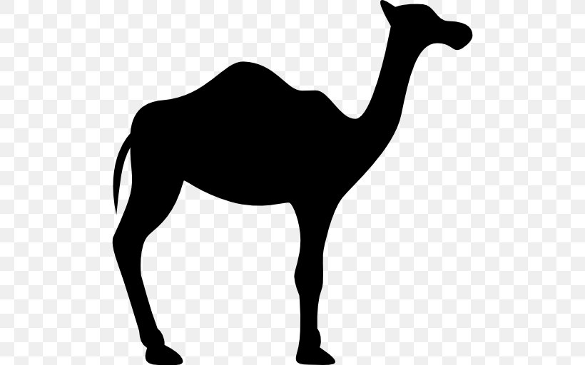 Dromedary Bactrian Camel Silhouette, PNG, 512x512px, Dromedary, Animal, Arabian Camel, Bactrian Camel, Black And White Download Free