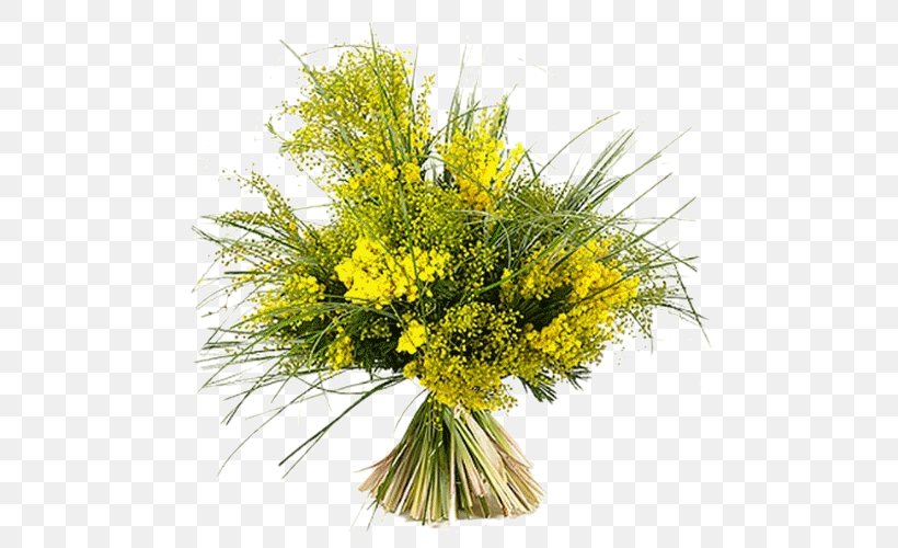 Flower Bouquet Acacia Dealbata Garden Roses International Women's Day, PNG, 500x500px, Flower Bouquet, Acacia Dealbata, Color, Cut Flowers, Fennel Download Free