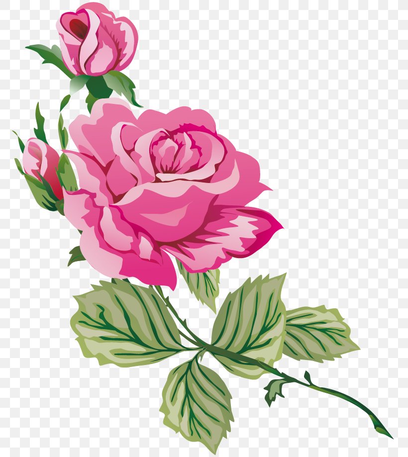Garden Roses Cabbage Rose Blue Rose Clip Art, PNG, 782x919px, Garden Roses, Annual Plant, Art, Blue, Blue Rose Download Free