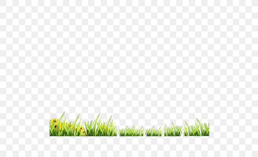Green Google Images Download, PNG, 531x500px, Green, Designer, Google Images, Grass, Highdefinition Television Download Free