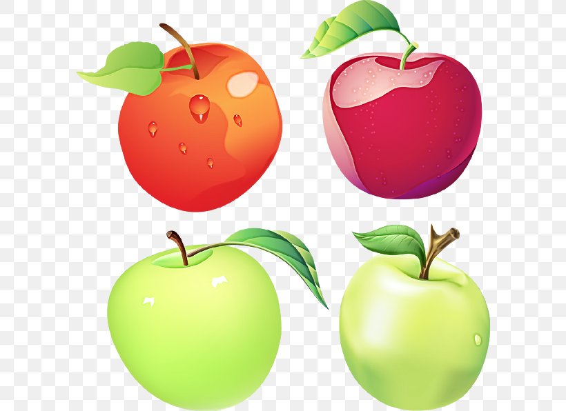 Natural Foods Fruit Apple Food Plant, PNG, 600x596px, Natural Foods, Apple, Food, Fruit, Leaf Download Free