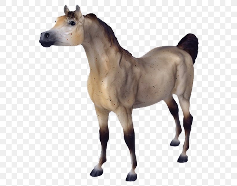 Arabian Horse Foal American Quarter Horse Appaloosa Mare, PNG, 800x644px, 112 Scale, Arabian Horse, American Quarter Horse, Animal Figure, Appaloosa Download Free