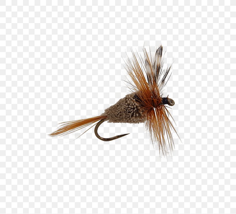 Artificial Fly Pheasant Tail Nymph Quill Gordon Trout, PNG, 555x741px, Fly, Artificial Fly, Dry Fly Fishing, Feather, Fishing Download Free