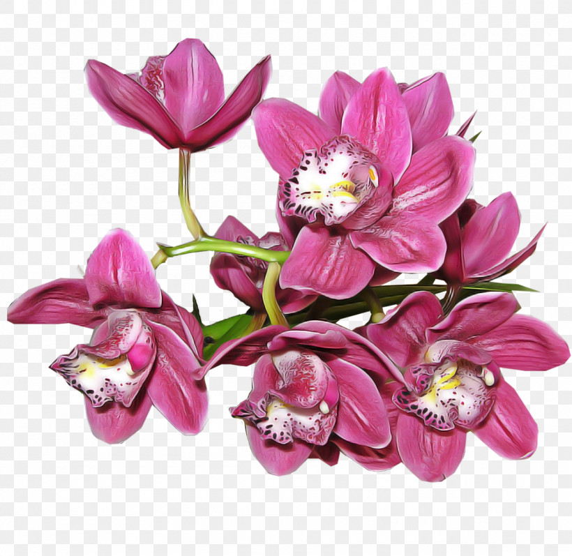 Cut Flowers Herbaceous Plant Moth Orchids Flower Petal, PNG, 1280x1245px, Cut Flowers, Biology, Flower, Herbaceous Plant, Lilac M Download Free