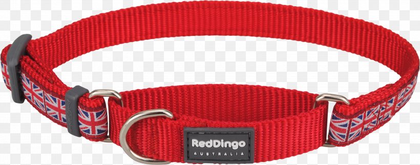 Dog Collar Dingo Dog Collar Martingale, PNG, 3000x1180px, Dog, Belt, Belt Buckle, Belt Buckles, Buckle Download Free