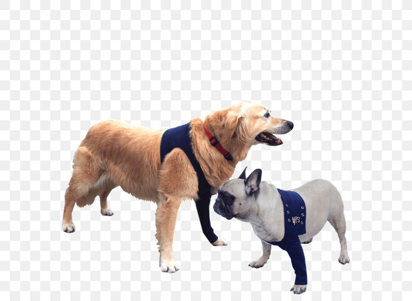 Dog T-shirt Veterinarian Cat, PNG, 600x600px, Dog, Bodystocking, Carnivoran, Cat, Collar Download Free