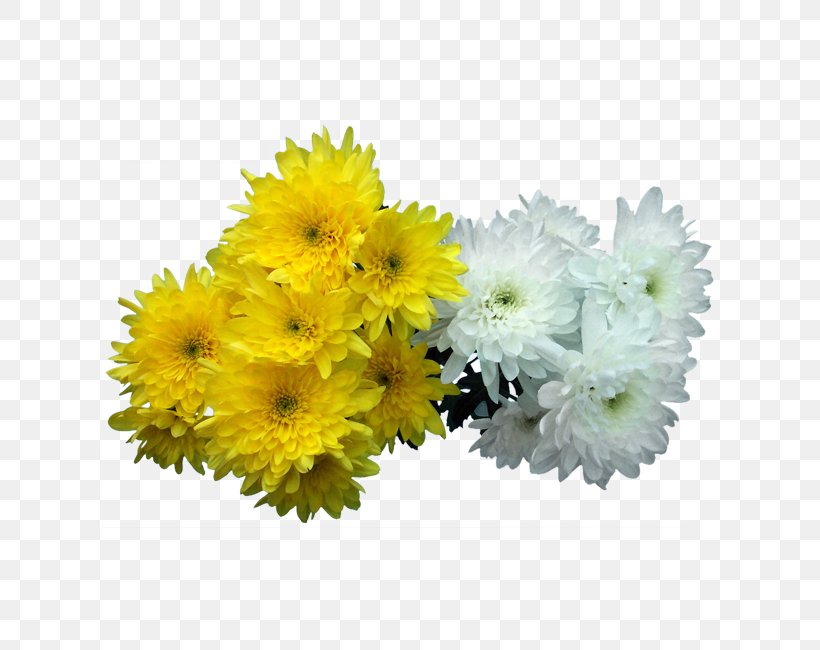 Floral Design Transvaal Daisy All Souls Day Cut Flowers Chrysanthemum, PNG, 650x650px, Floral Design, All Souls Day, Artificial Flower, Cemetery, Chrysanthemum Download Free