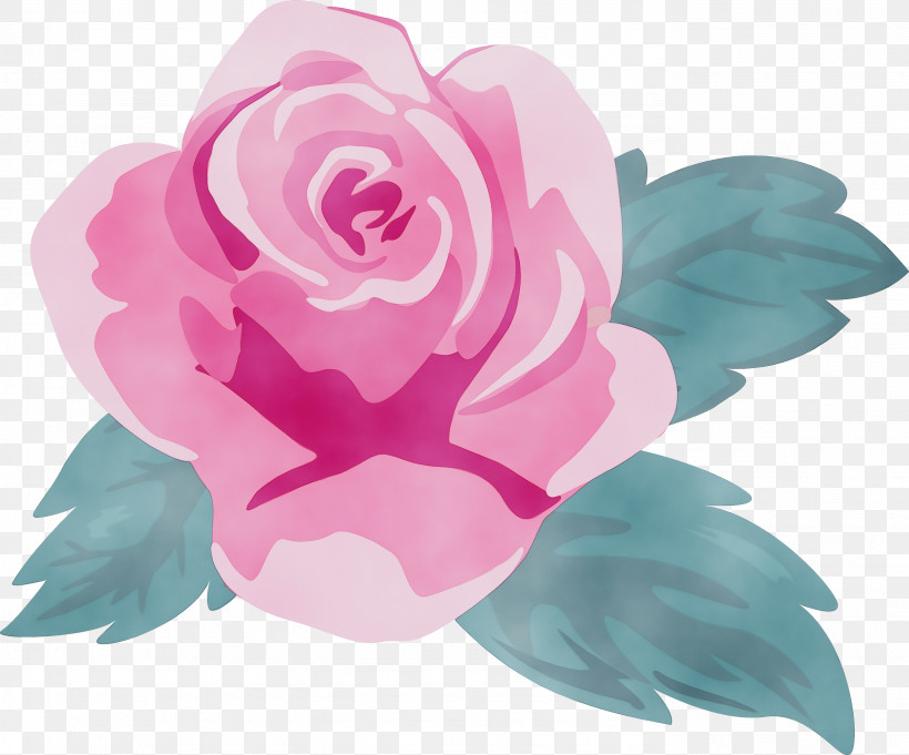 Garden Roses, PNG, 2773x2303px, Pink Rose, Flower, Garden Roses, Paint, Petal Download Free