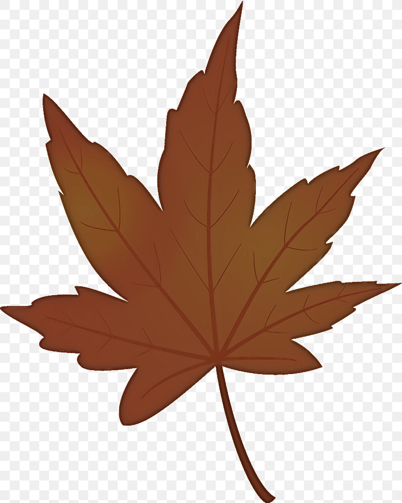 Maple Leaf Autumn Leaf Yellow Leaf, PNG, 820x1026px, Maple Leaf, Autumn Leaf, Black Maple, Brown, Deciduous Download Free