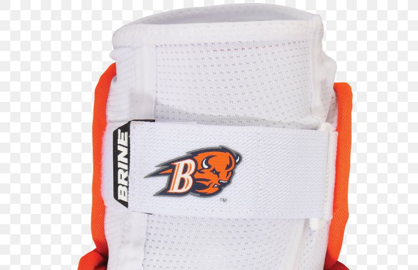 Protective Gear In Sports Personal Protective Equipment Footwear, PNG, 620x530px, Protective Gear In Sports, Baseball, Baseball Equipment, Brand, Bucknell University Download Free