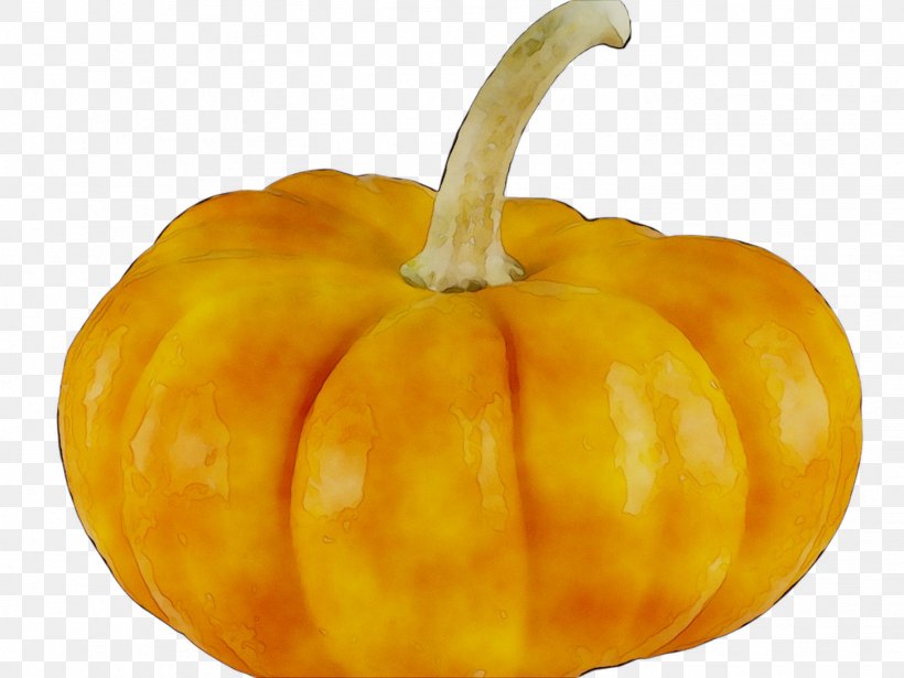 Pumpkin Butternut Squash Vegetarian Cuisine Vegetable Gourd, PNG, 1452x1089px, Pumpkin, Bell Pepper, Bell Peppers And Chili Peppers, Butternut Squash, Calabaza Download Free