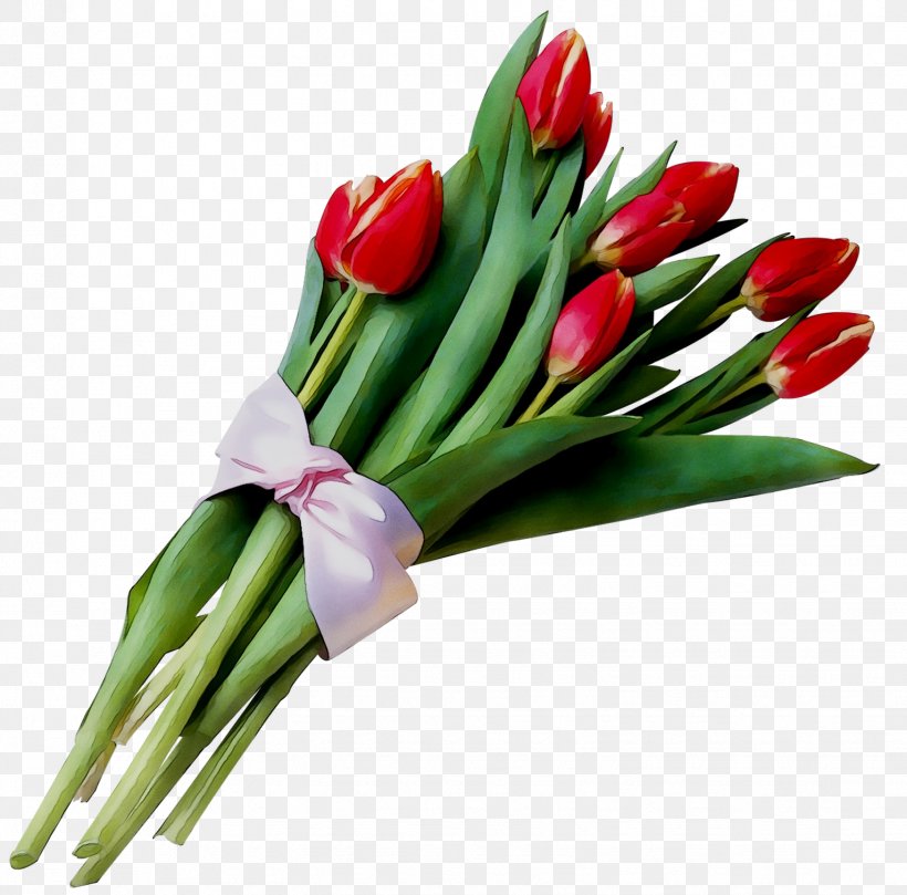 Tulip International Women's Day Flower Bouquet Floral Design, PNG, 1531x1512px, Tulip, Bouquet, Cut Flowers, Floral Design, Floristry Download Free