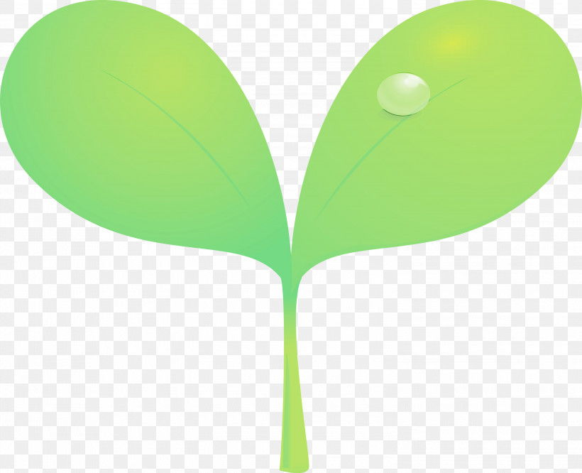 Green Leaf Plant Tree Plant Stem, PNG, 3000x2438px, Sprout, Bud, Flush, Green, Leaf Download Free