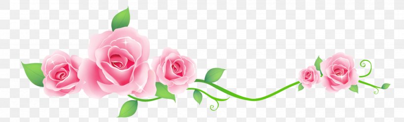 Photography Drawing Floral Design, PNG, 2486x756px, Photography, Art, Beauty, Bud, Close Up Download Free