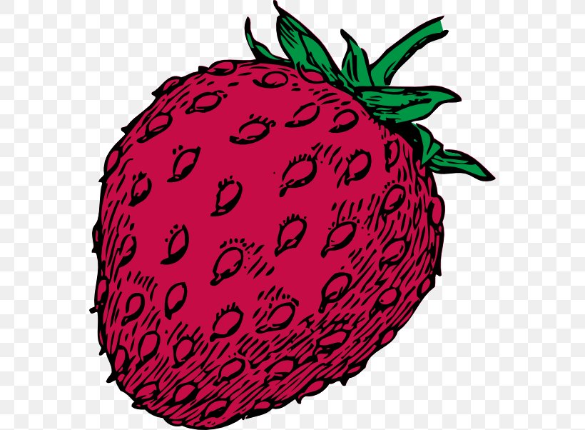 Strawberry Juice Strawberry Pie Clip Art, PNG, 570x602px, Strawberry, Apple, Art, Drawing, Flowering Plant Download Free