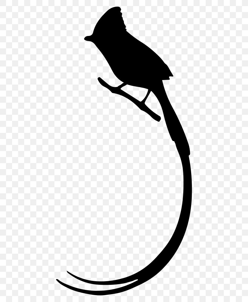 Bird Long Tail Drawing Clip Art, PNG, 470x1000px, Bird, Animal, Artwork, Beak, Black Download Free
