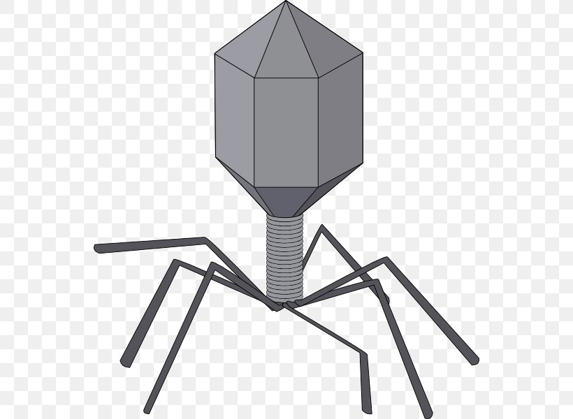 Virus Viral Vector Bacteriophage Clip Art, PNG, 552x600px, Virus, Bacteria, Bacteriophage, Furniture, Influenza Download Free