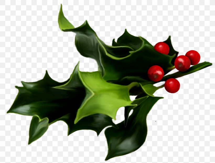 Common Holly Mistletoe Christmas Clip Art, PNG, 1121x854px, Common Holly, Aquifoliaceae, Aquifoliales, Christmas, Christmas Tree Download Free