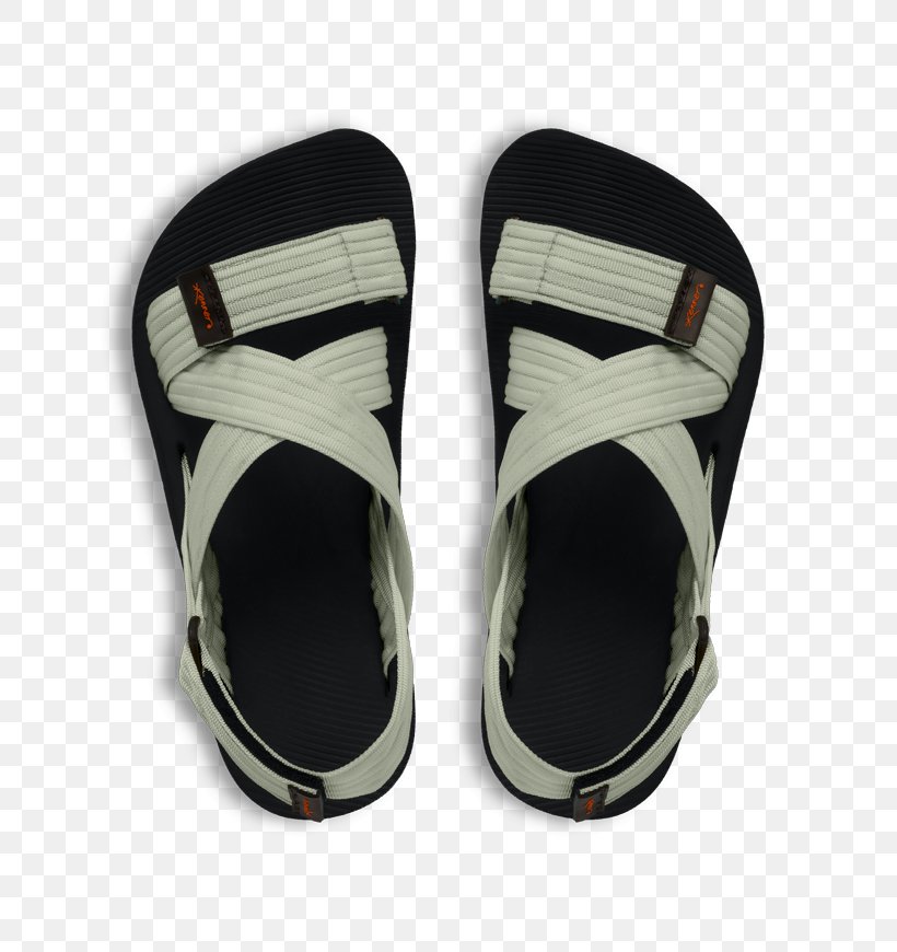 Flip-flops Papete Sandal Shoe, PNG, 765x870px, Flipflops, Billboard, Clothing, Flip Flops, Footwear Download Free