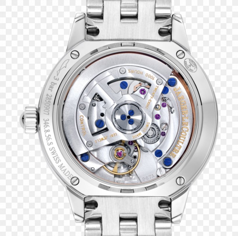Watch Strap Apple Watch Calvin Klein, PNG, 1000x994px, Watch, Apple Watch,  Body Jewelry, Brand, Calvin Klein